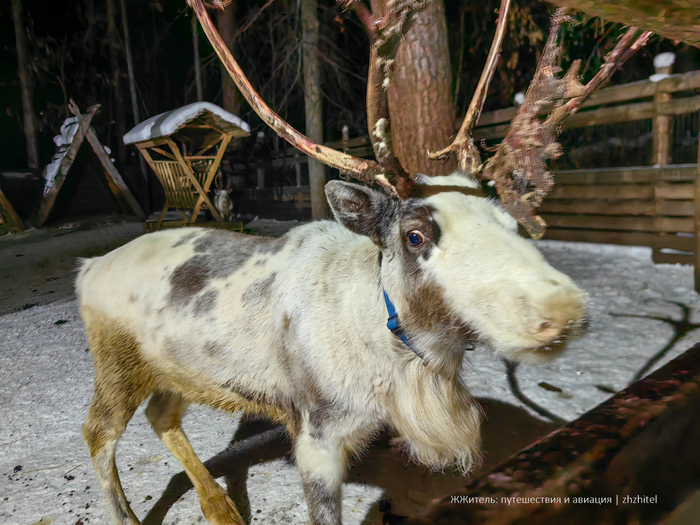 �������� ����� � ��������