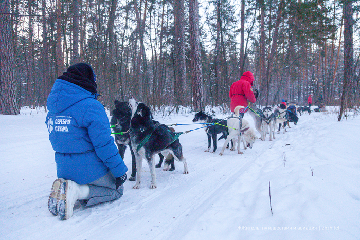 ������ � ���������� ������