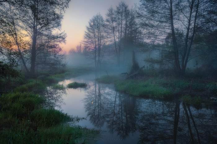 Утро, canon 5dmIV 17-40