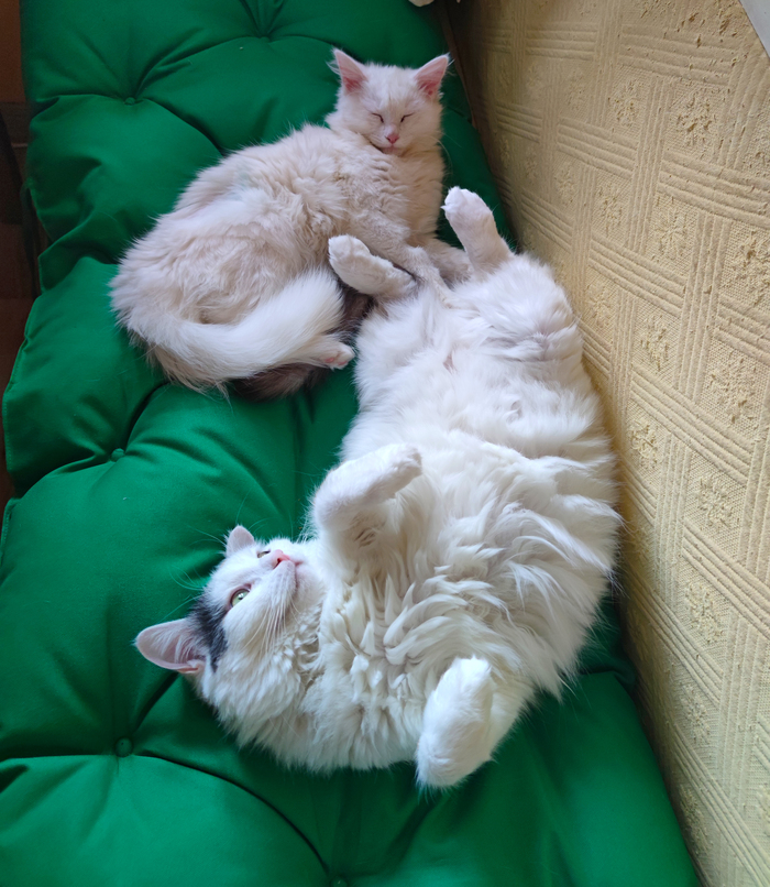 ������ � ������: �� ����� �� ���������