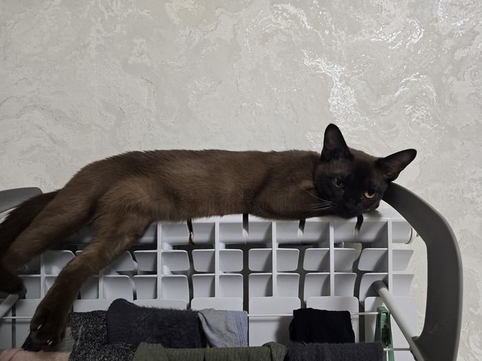 ����,������...