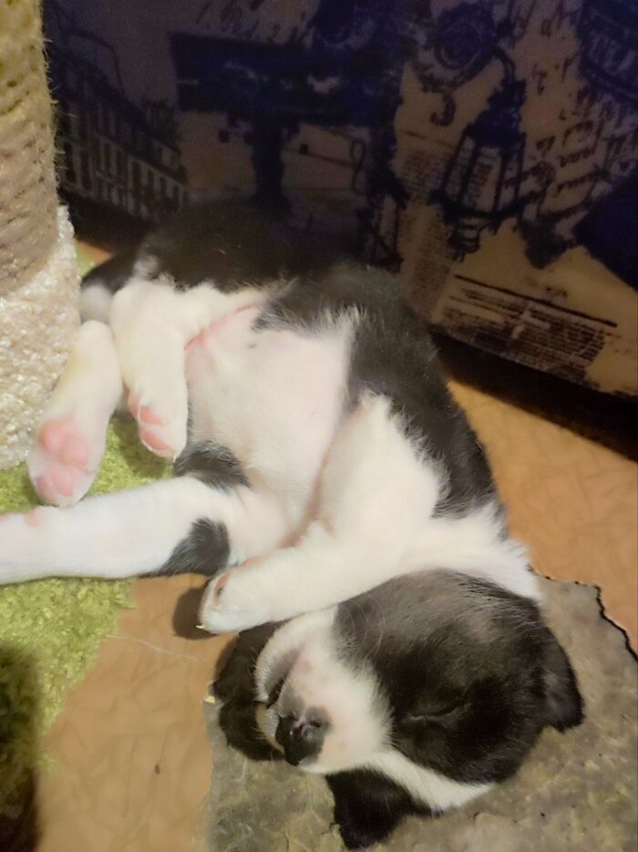 � ���� ������� ���� ������������