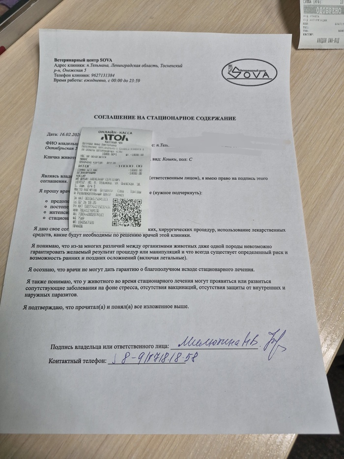 �������� �����