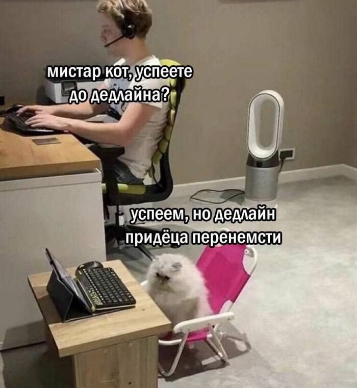 Дедлайн