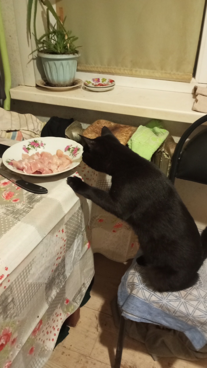 ��� ��������!)