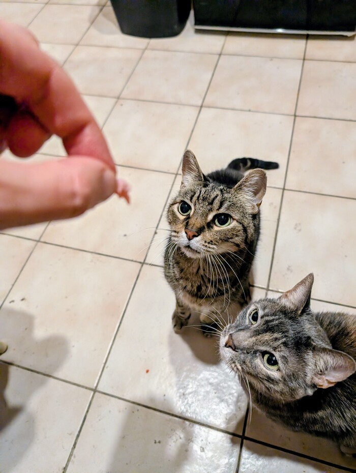 ����� �������� ��� �� �����