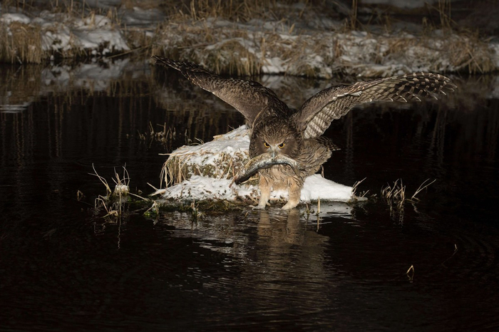 �� ����� ���������� ������!