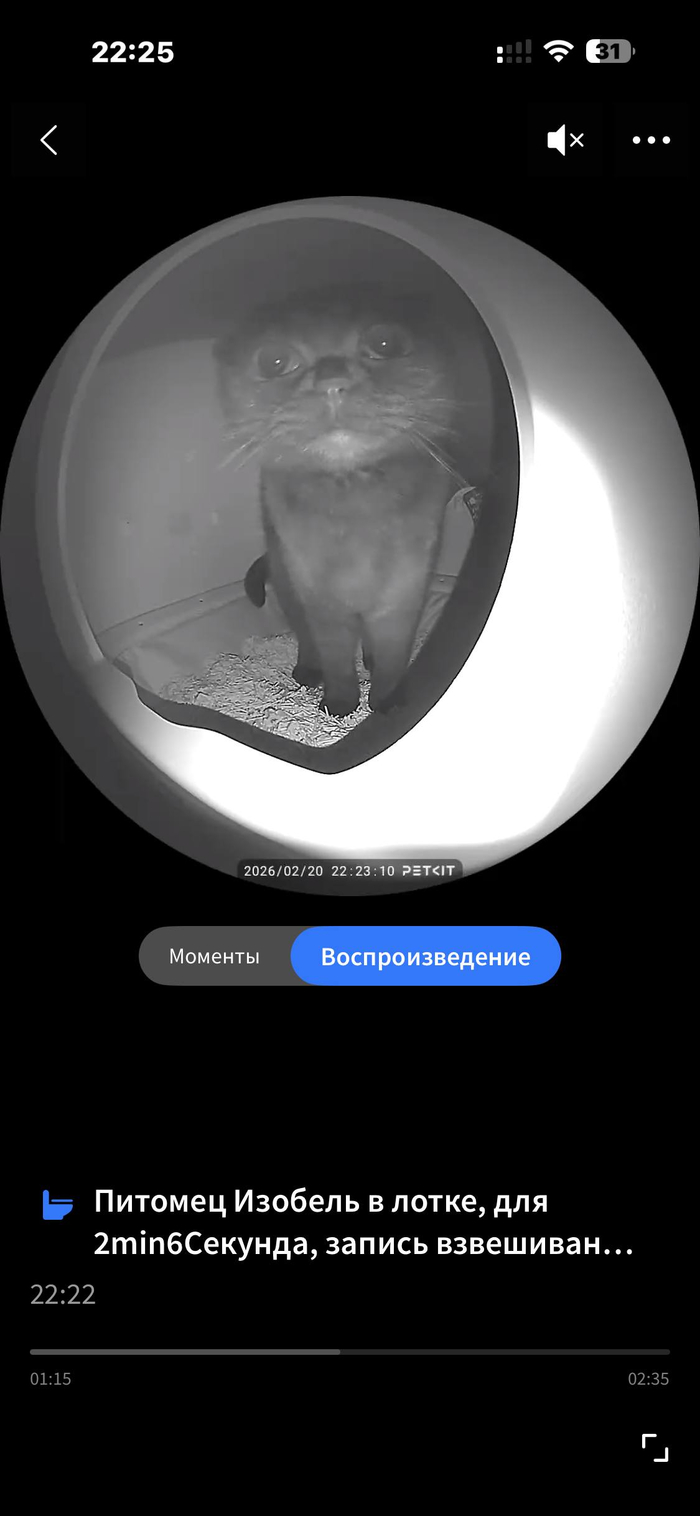 major tom to ground control