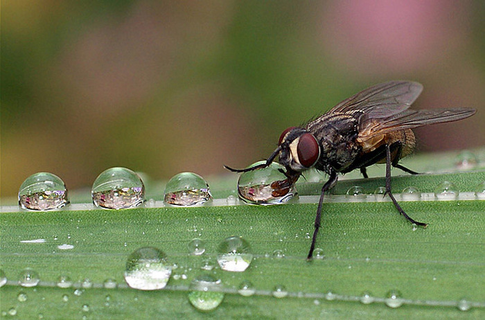 "���� � ������ ����������� "