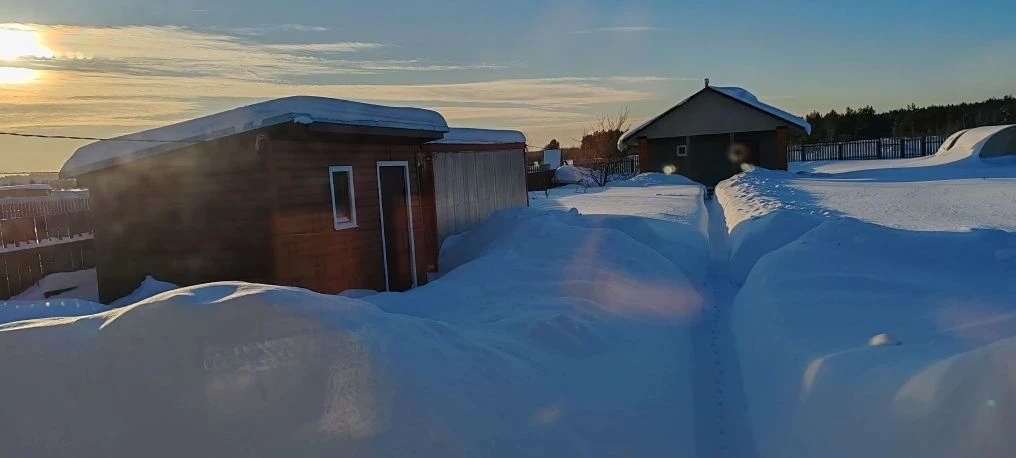 Magic feather bed - Series My Soviet childhood, My, Village, Childhood in the USSR, Childhood memories, Winter, Snow, Snowdrift, Own farm, Cow, Piglets, Featherbed, Skis, Slide, Joy, Happiness, Soviet television, Stars, freezing, Text, Longpost