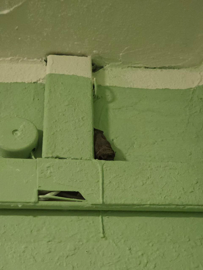 Ответ на пост «История одного хирурга»