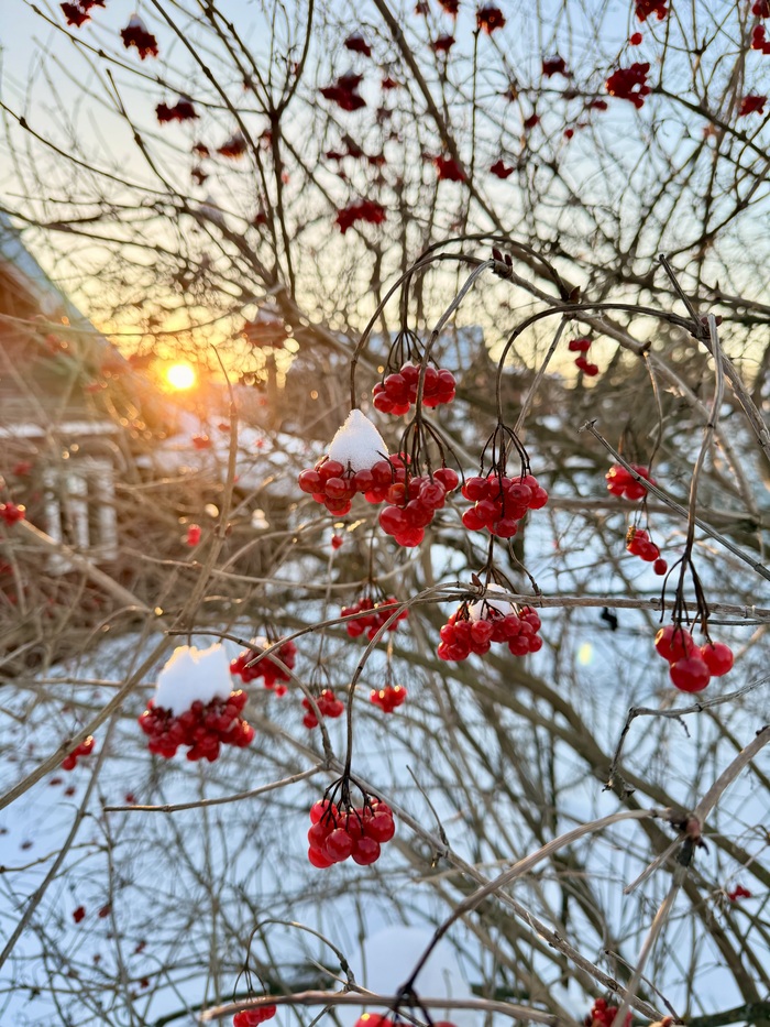 ������� �� �����