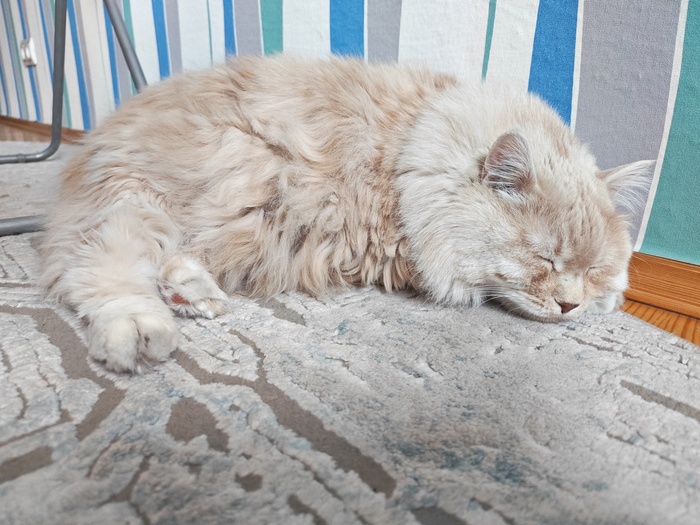 ��� ������� �� ������