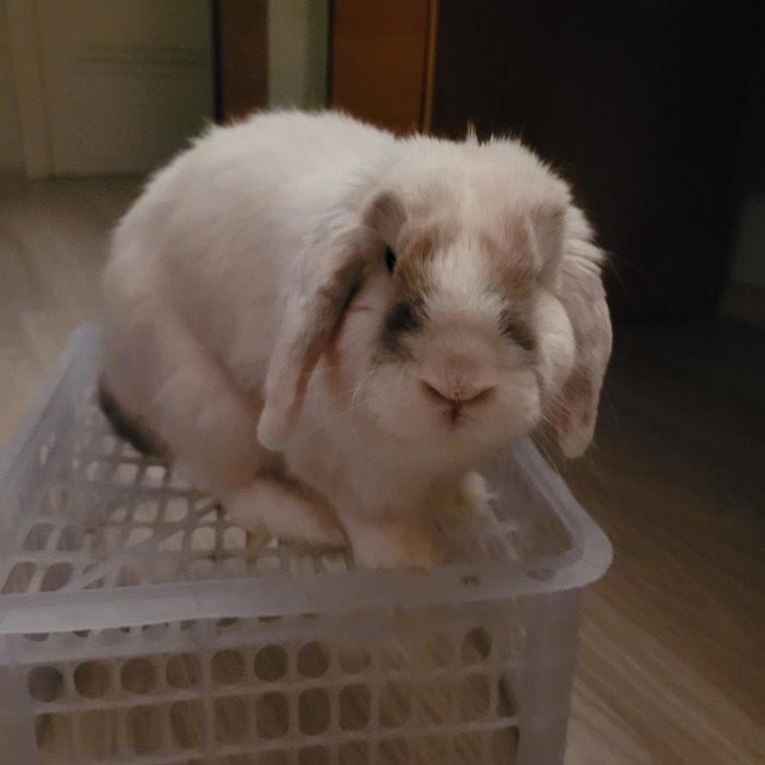 ��� ��� �� ������ ������? 😏