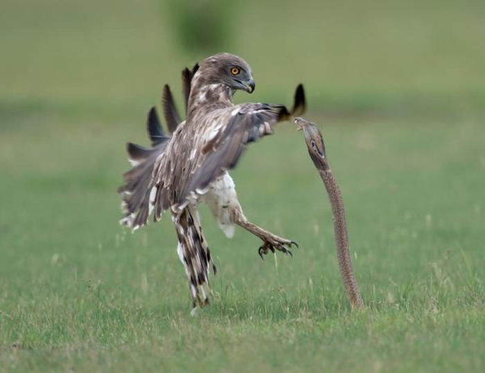 �� ����-�� ������� ������!