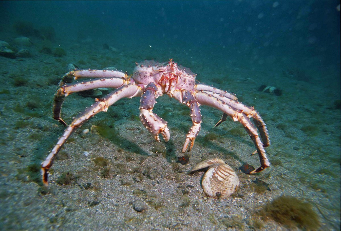 �������� ������? ��� � ����?