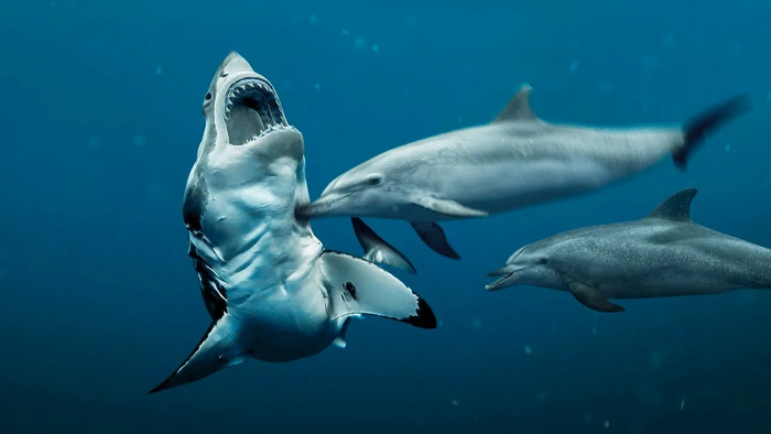 ����� ������� ������ ������������ ������ �������� � ������ ������� ��� � ��������� �����.