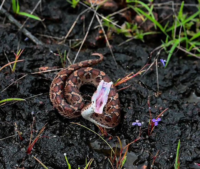 ������ ���� �� ��, ��� ������ �������� ��� ����� �� ����������.