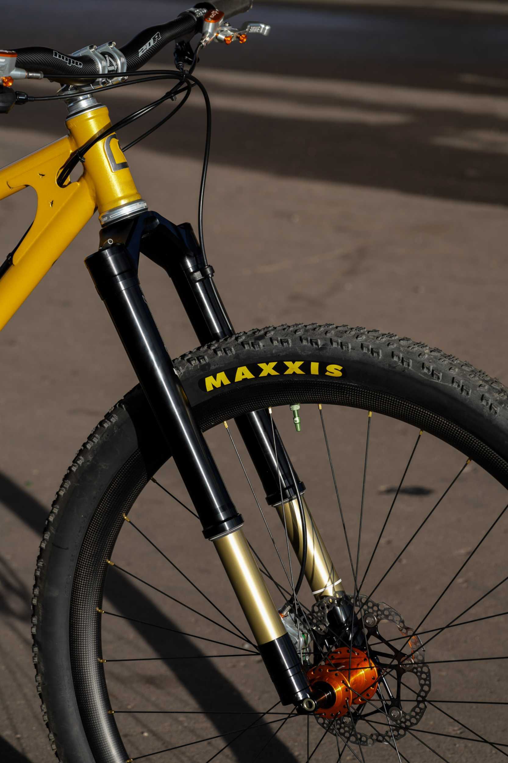 Starling Cycles Big Bird - A bike, Cycling, Mtb, Steel, The photo, Longpost