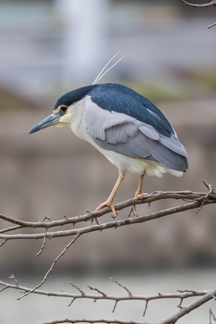 (���� �� ���� ��� ������� ��������)