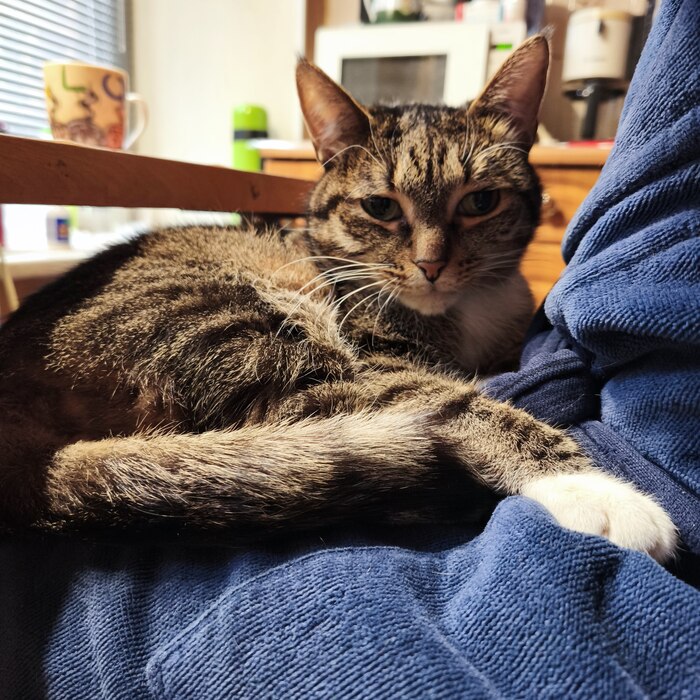 ����������!