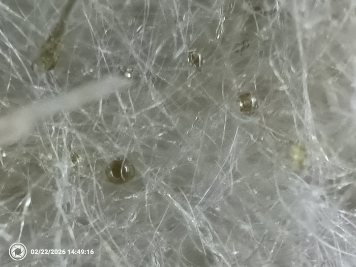 �� ������ � �����