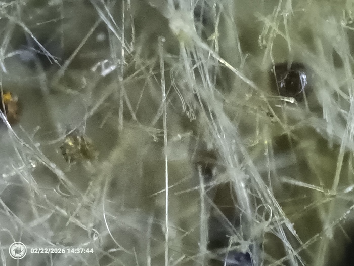 �� �����������