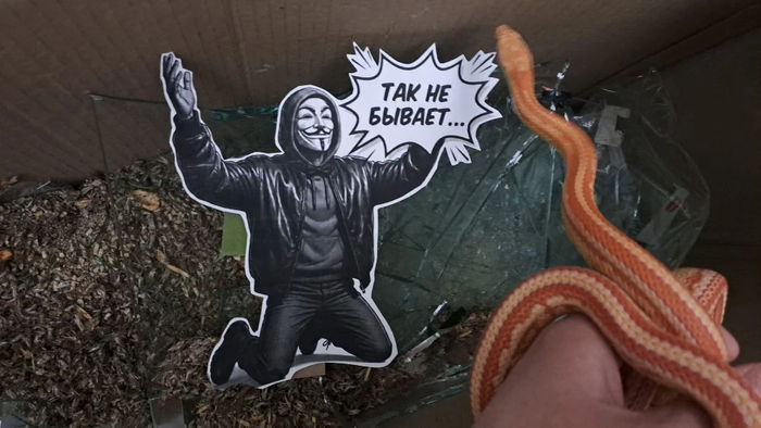 �������� ��������� ������ ��������, ������������ ������������ ���...