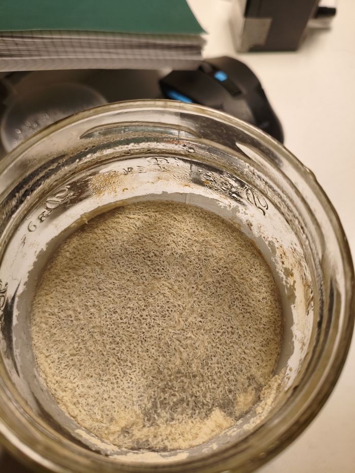 ���� ����� ��� ����������