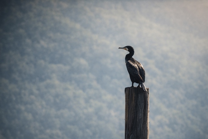 Антон Курдюмов фотограф в Хабаровске <!--noindex--><a href="https://pikabu.ru/story/baklan_13720237?u=http%3A%2F%2Ffoto-27.ru&t=foto-27.ru&h=c4dc76c26257bb313f0b0a64ab74262f5d50ea62" title="http://foto-27.ru" target="_blank" rel="nofollow noopener">foto-27.ru</a><!--/noindex-->