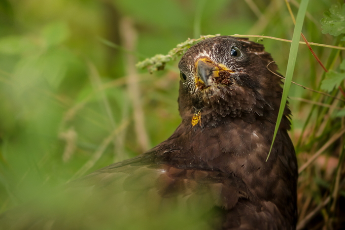 Тот самый случай, когда один в поле не воин.