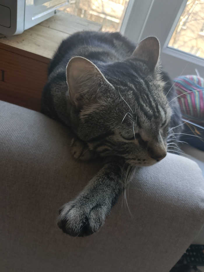 ��� �����