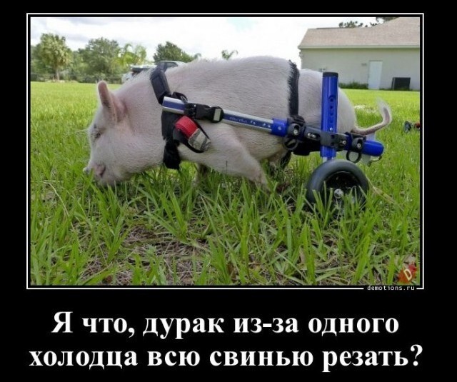 ���������� ��������: � ���� ���������