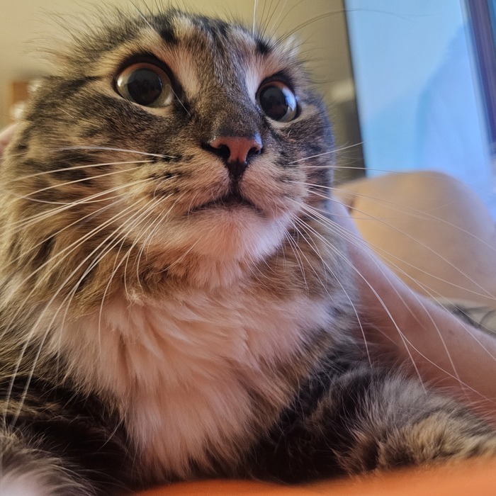 ��� ��� ���...