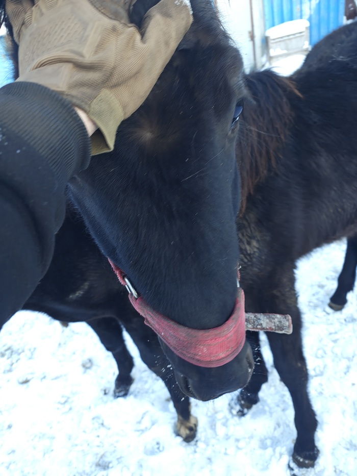 ������������ ��������� 