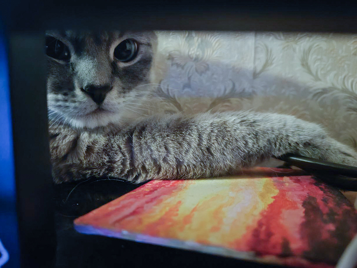 ���. ���. ����. ������ ���������))