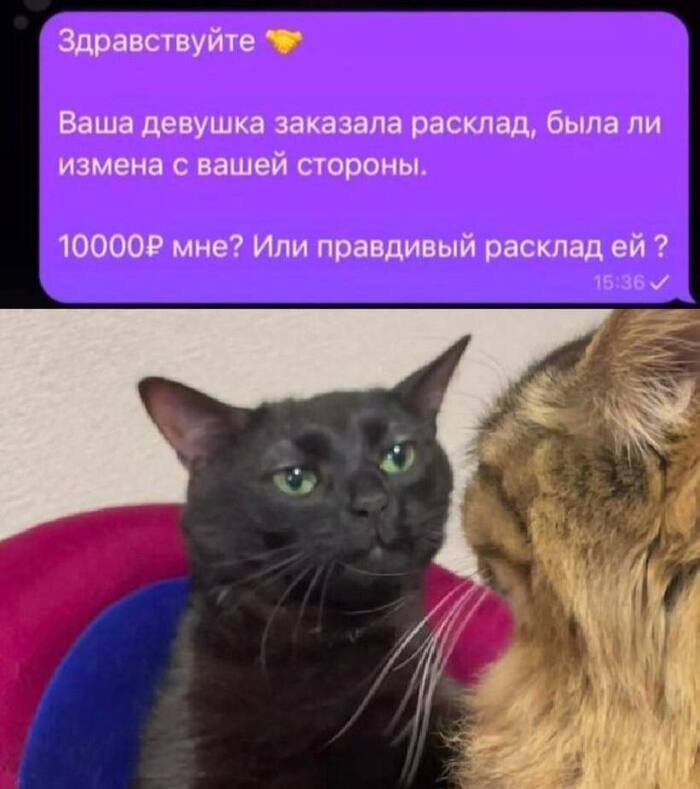 ������� ������� ����