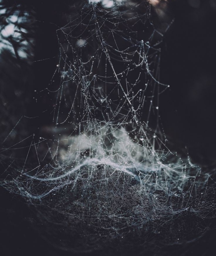 ������� �������� ������. �������� ����