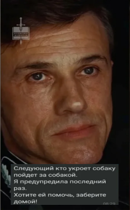 Вы ведь укрываете у себя собак, верно?