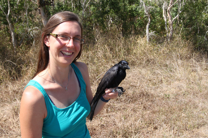 ���������� ����� � ��� �����������.