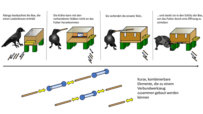 ����� �����, ����� ������ ���������� �� ���� �������, ����� ������� ���������. ���� ��� �����: ����� ������������, ����� �������� ��������!