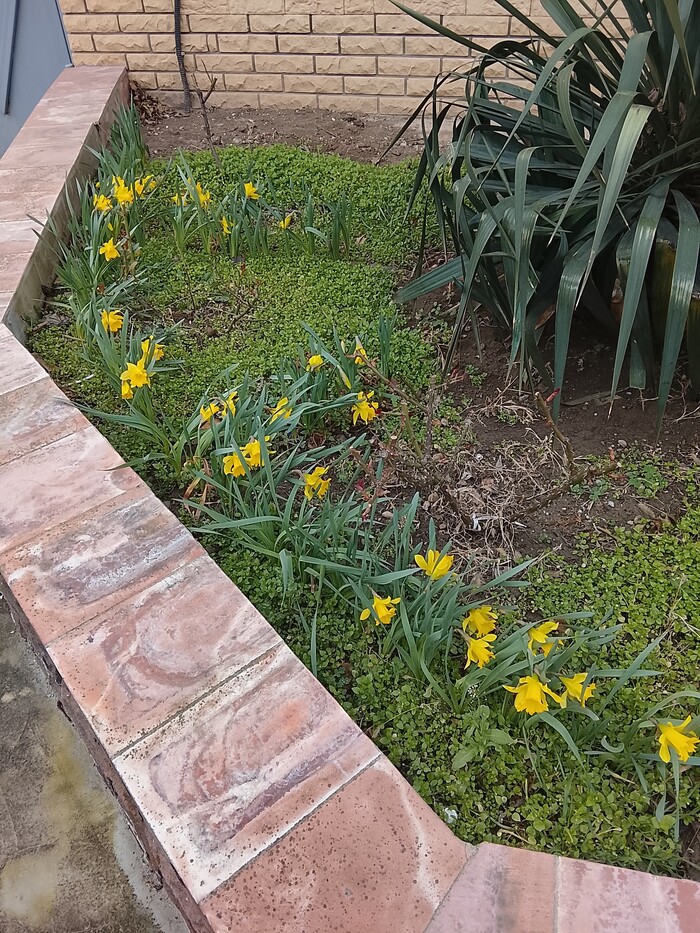 ������������� ����