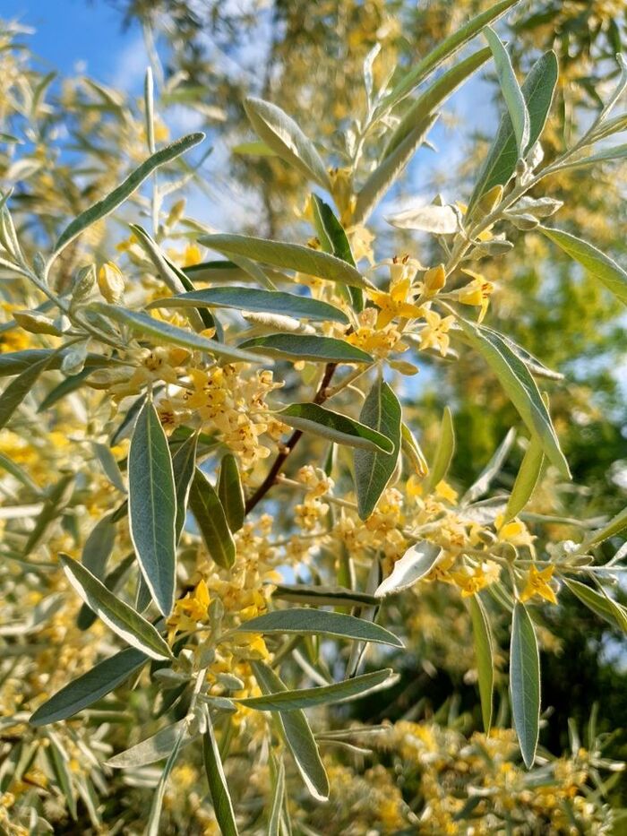 �������� ��������. ���� � ����� <!--noindex--><a href="https://pikabu.ru/story/oblepikha_13738656?u=http%3A%2F%2Fru.pinterest.com&t=ru.pinterest.com&h=f94377e362ad82a2163b6da20ac025facf884791" title="http://ru.pinterest.com" target="_blank" rel="nofollow noopener">ru.pinterest.com</a><!--/noindex-->