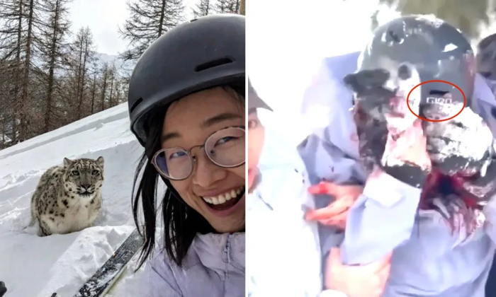 ���� ����� � �������, ������ � �������� ����������