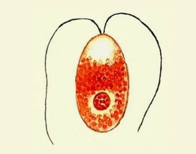 ��� ����� ������? (����� 4)