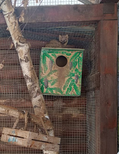 ������ ����������