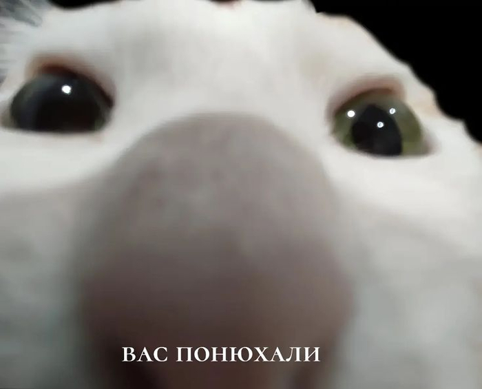 ���������� ����� � ��� ��� ���