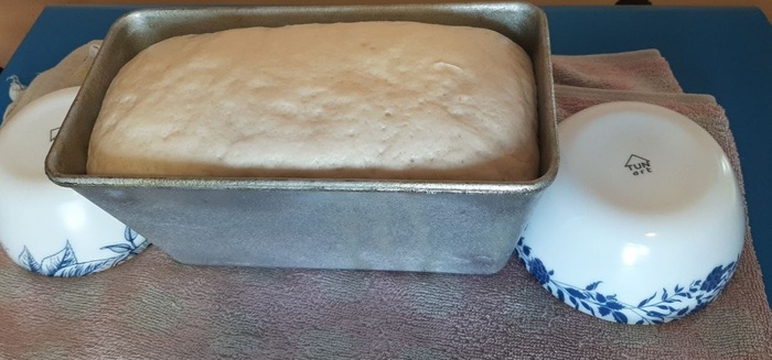 ��� ������ ��� 5 ����� � ����� ����� "�� ������", ������ ����� ������� ����.