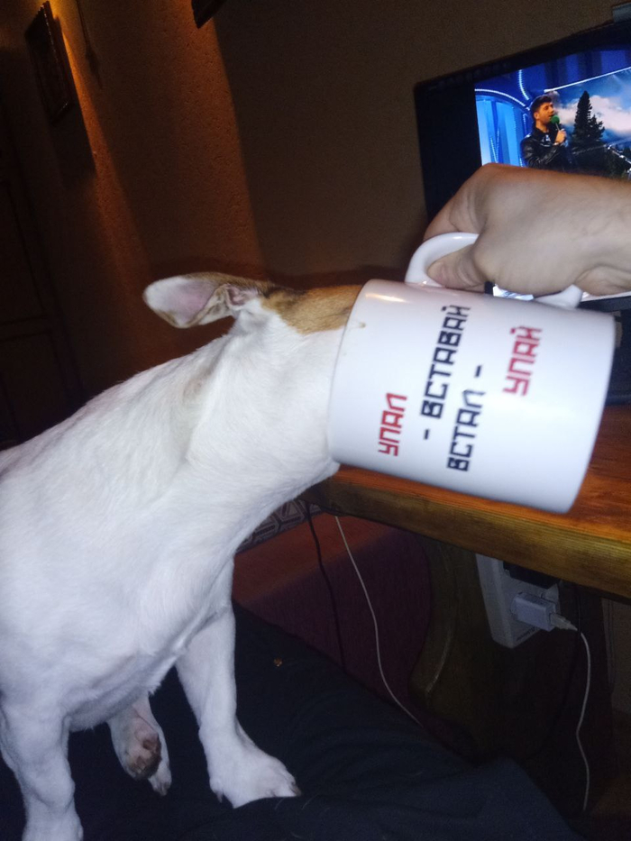 ����� ��������� � 8 �����