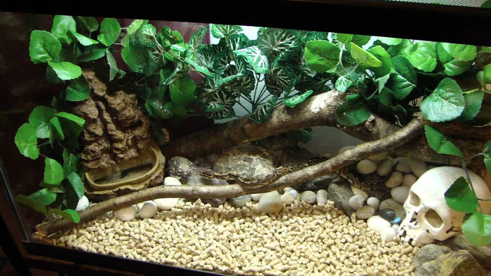 ������� �� �������� ���� ���������� � ���������� ���������...